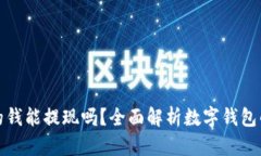 数字钱包的钱能提现吗？全面解析数字钱包的提