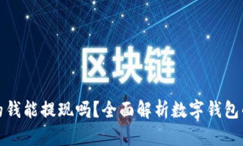数字钱包的钱能提现吗？全面解析数字钱包的提现功能
