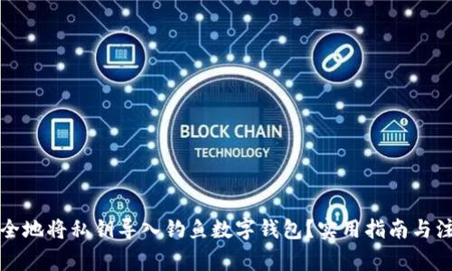 如何安全地将私钥导入钓鱼数字钱包？实用指南与注意事项