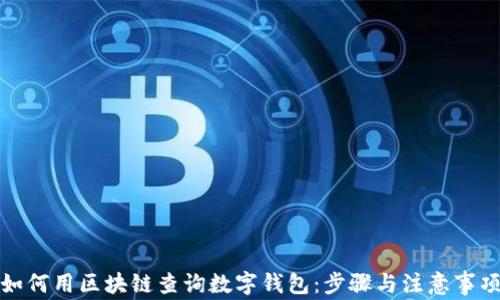 
如何用区块链查询数字钱包：步骤与注意事项