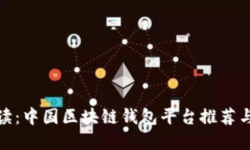 : 全面解读：中国区块链钱包平台推荐与使用指南