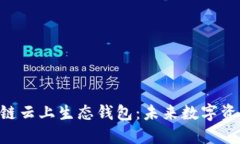 : ECPAY区块链云上生态钱包：未来数字资产管理的