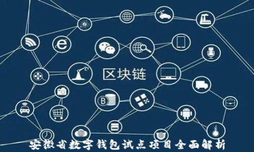
安徽省数字钱包试点项目全面解析