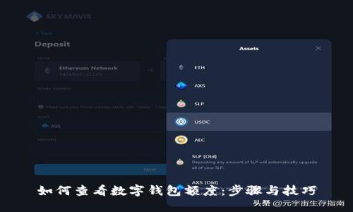 如何查看数字钱包额度：步骤与技巧