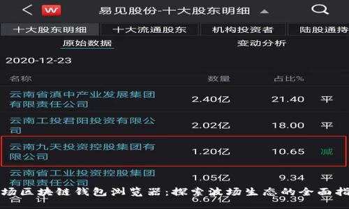 波场区块链钱包浏览器：探索波场生态的全面指南