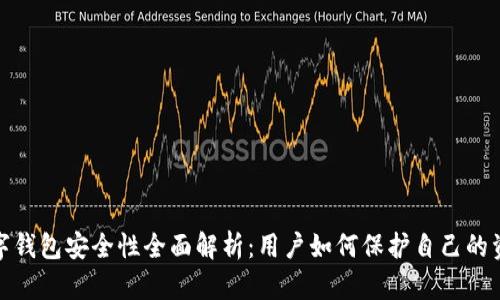 农行数字钱包安全性全面解析：用户如何保护自己的资金安全