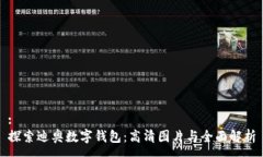 :探索迪奥数字钱包：高清图片与全面解析