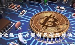 数字钱包的正宗之选：深度解析不同品牌的优势