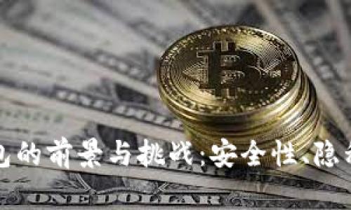 公开数字钱包的前景与挑战：安全性、隐私与用户体验