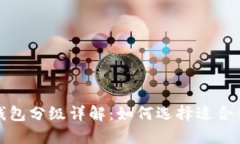 数字人民币钱包分级详解：如何选择适合你的数