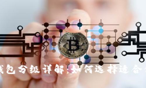 数字人民币钱包分级详解：如何选择适合你的数字钱包