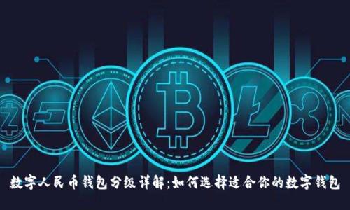 数字人民币钱包分级详解：如何选择适合你的数字钱包