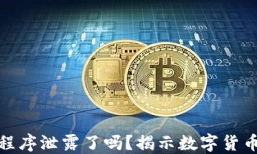 
数字钱包程序泄露了吗？揭示数字货币安全隐患