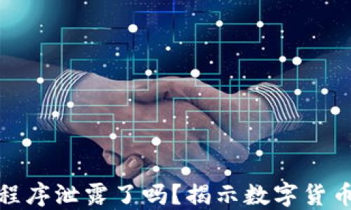 
数字钱包程序泄露了吗？揭示数字货币安全隐患