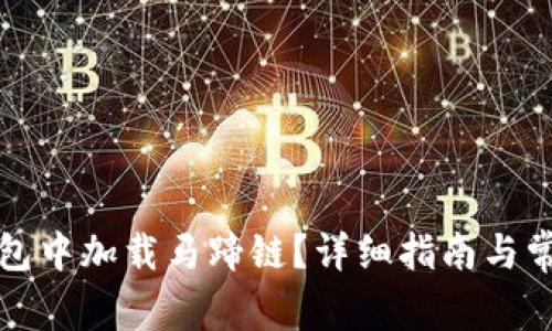 如何在TP钱包中加载马蹄链？详细指南与常见问题解答
