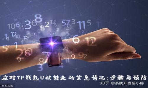 如何应对TP钱包U被转走的紧急情况：步骤与预防措施