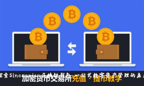 探索Sinocunion区块链钱包：一站式数字资产管理的未来