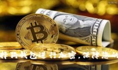 如何优雅地选择狗钱包进行加密，保障您的数字