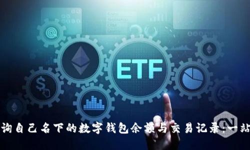 如何查询自己名下的数字钱包余额与交易记录：一站式指南