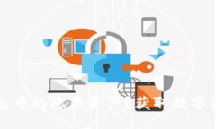 如何查看TP钱包中的隐藏资产？获取数字资产的详