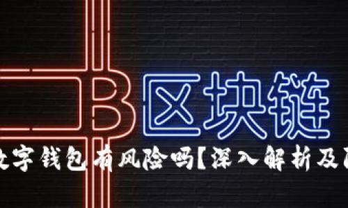 转账给数字钱包有风险吗？深入解析及防范措施