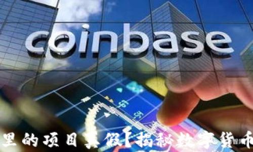 
怎么辨别TP钱包里的项目真假？揭秘数字货币投资的明智之路