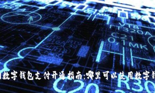 厦门数字钱包支付开通指南：哪里可以使用数字钱包？