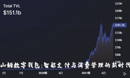 山姆数字钱包：智能支付与消费管理的新时代