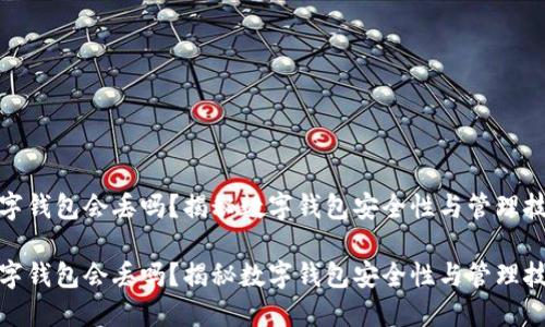 数字钱包会丢吗？揭秘数字钱包安全性与管理技巧

数字钱包会丢吗？揭秘数字钱包安全性与管理技巧