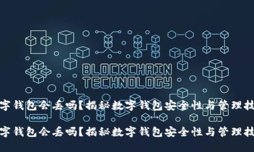 数字钱包会丢吗？揭秘数字钱包安全性与管理技巧

数字钱包会丢吗？揭秘数字钱包安全性与管理技巧