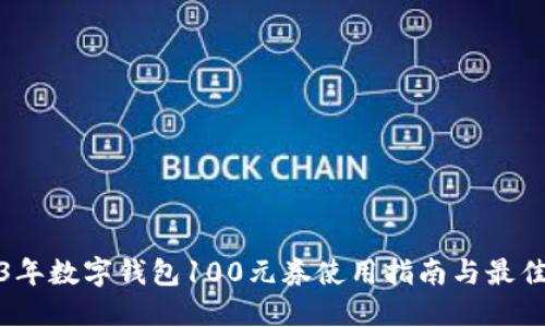 2023年数字钱包100元券使用指南与最佳策略