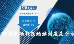 : TP钱包的钱包地址到底是什么？