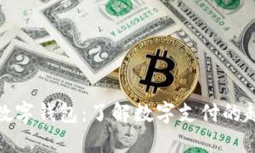 最原始的数字钱包：了解数字支付的起源与演变