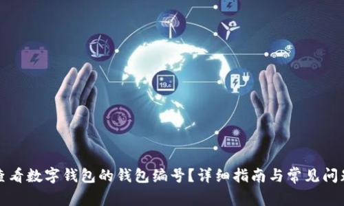如何查看数字钱包的钱包编号？详细指南与常见问题解答