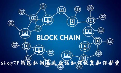 bishopTP钱包私钥丢失后该如何恢复和保护资产