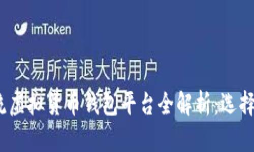 2023年主流虚拟货币钱包平台全解析：选择与使用技巧