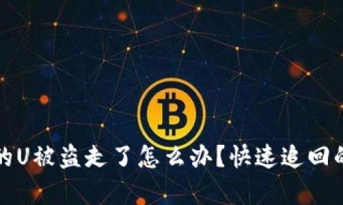 TP钱包里的U被盗走了怎么办？快速追回的方法解析